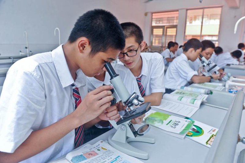 智能学习系统在教育中的应用案例分析